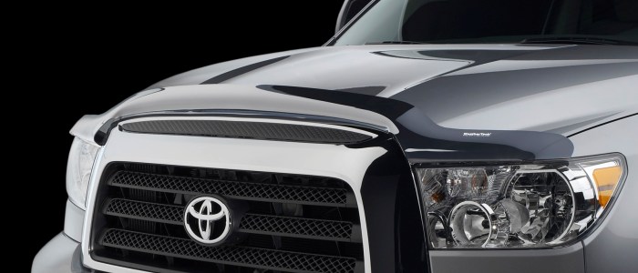 Exterior Protectants - Bug Shields